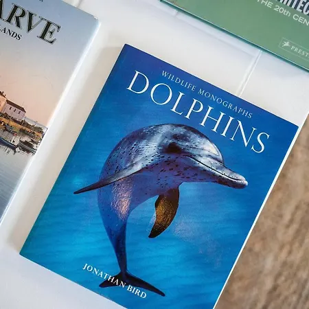 Appartamento 2b By Beach&alvor Centre With Pools & Ac *