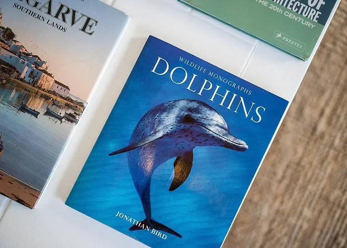 Lägenhet 2b By Beach&alvor Centre With Pools & Ac *