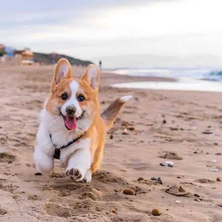 2b By Beach&alvor Centre With Pools & Ac Апартаменты Алвор